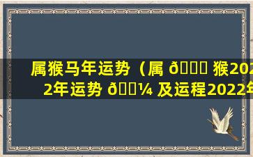 属猴马年运势（属 🐅 猴2022年运势 🐼 及运程2022年属马人的全年运势）